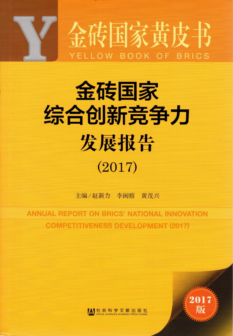 免费看插屄的网站金砖国家综合创新竞争力发展报告（2017）